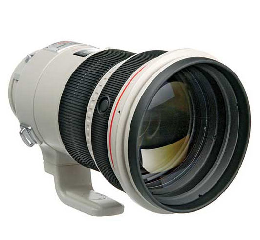 lensa sport terbaik untuk fotoyu